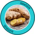 ingredient of Saba GLP-1 - ginger